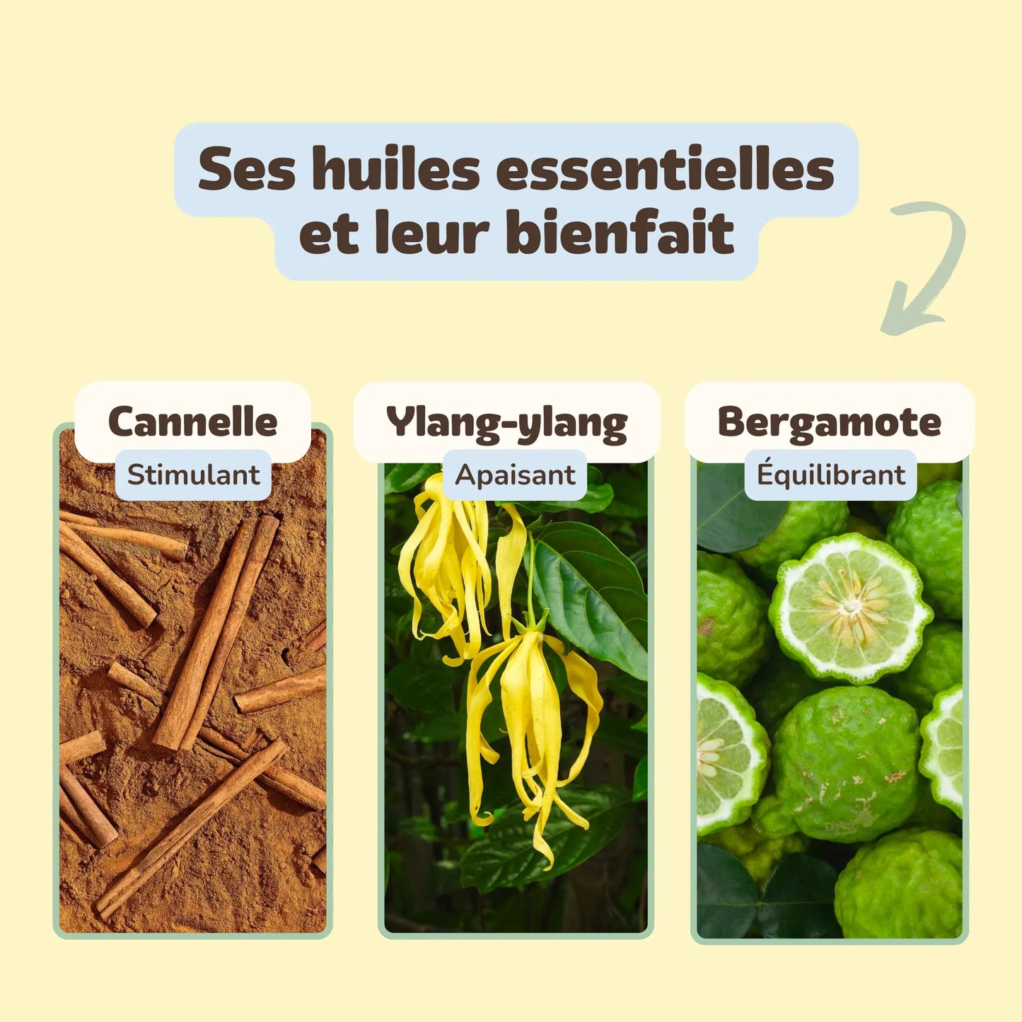 Spice Delight - Baume parfumé énergisant Bauum