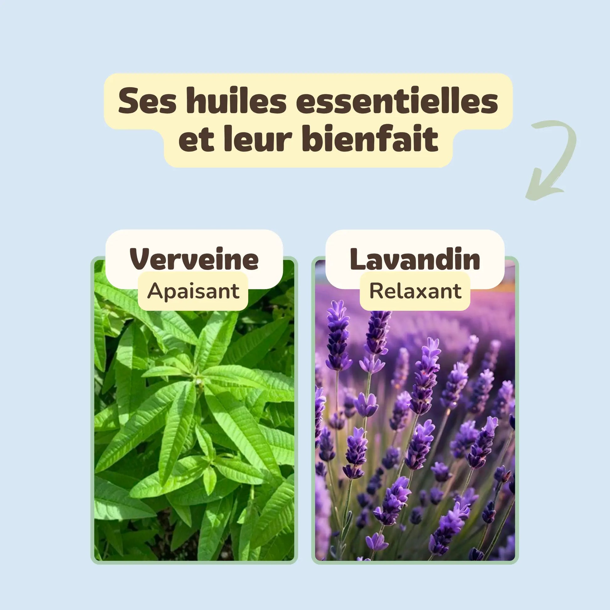 Citrus Bloom - Baume parfumé apaisant Bauum